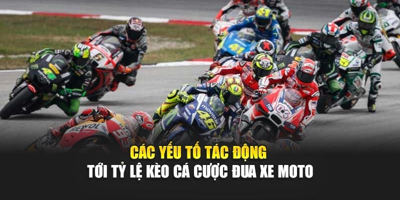 Các yếu tố tác động tới tỷ lệ kèo cá cược đua xe moto