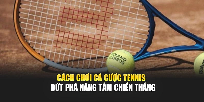 Cách Chơi Cá Cược Tennis – Bứt Phá Nâng Tầm Chiến Thắng