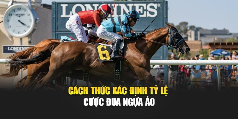 Cách thức xác định tỷ lệ cược đua ngựa ảo