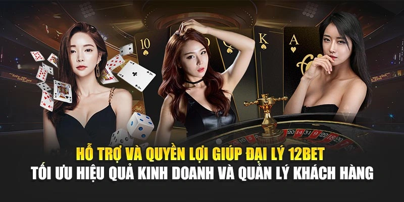 Hỗ trợ và quyền lợi giúp đại lý 12Bet tối ưu hiệu quả kinh doanh và quản lý khách hàng