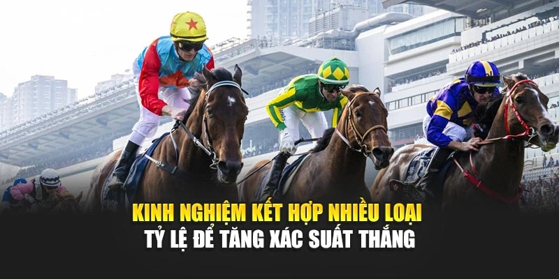 Kinh nghiệm kết hợp nhiều loại tỷ lệ để tăng xác suất thắng
