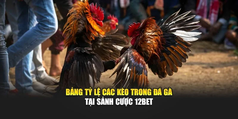 Bảng tỷ lệ các kèo trong đá gà tại sảnh cược 12bet