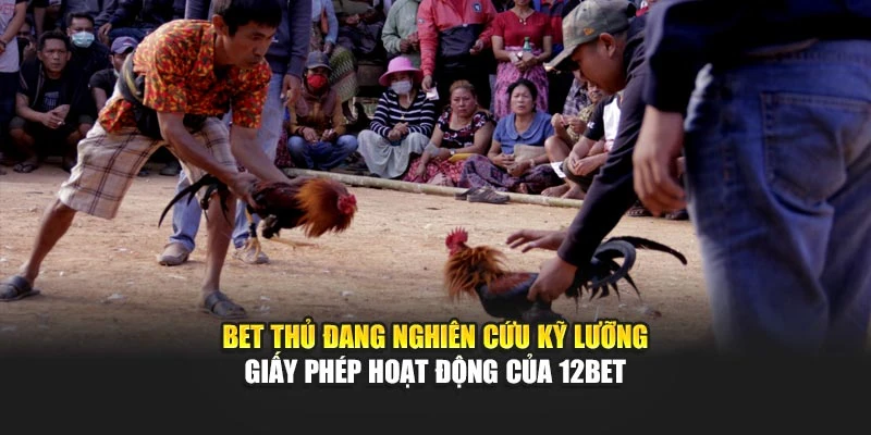 Bet thủ đang nghiên cứu kỹ lưỡng giấy phép hoạt động của 12bet