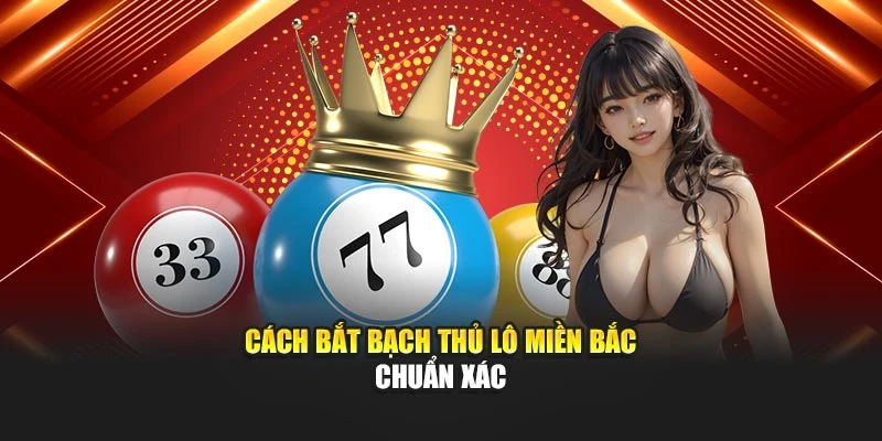 Cách bắt Bạch thủ lô miền bắc chuẩn xác