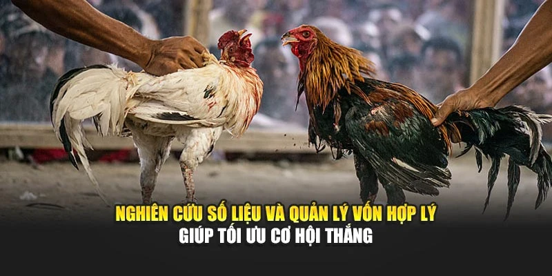 Nghiên cứu số liệu và quản lý vốn hợp lý giúp tối ưu cơ hội thắng
