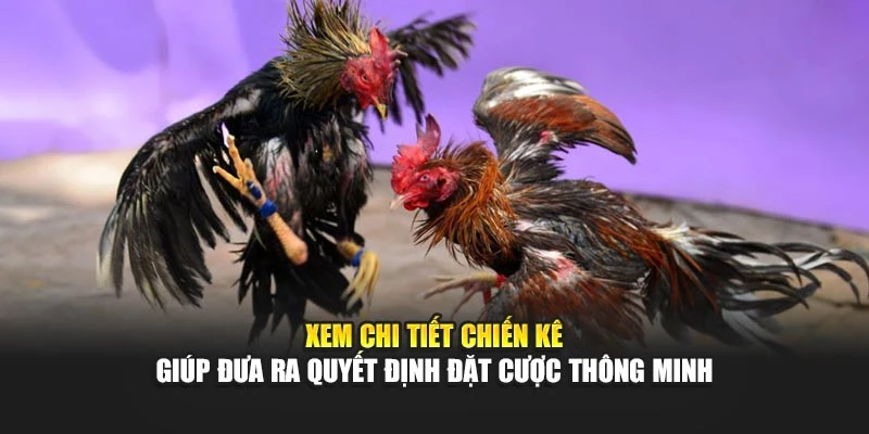 Xem chi tiết chiến kê giúp đưa ra quyết định đặt cược thông minh